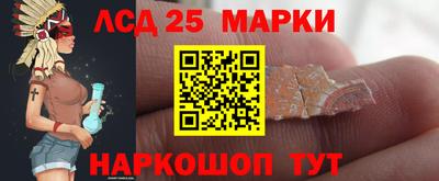 СК Обь