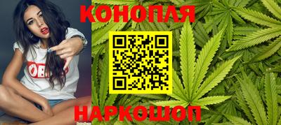 СК Обь