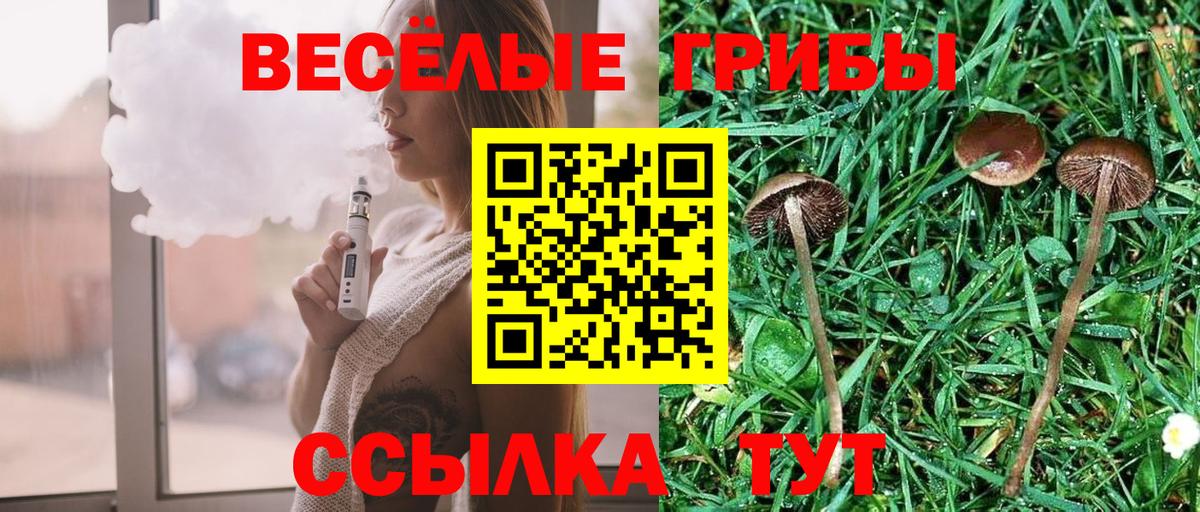 Галлюциногенные грибы мухоморы Тосно
